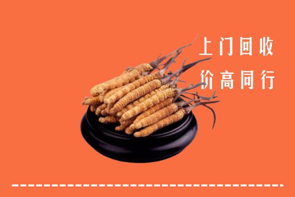 重庆江北区冬虫夏草回收多少钱每克